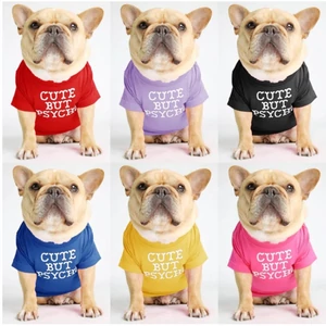 &quot;Cute but psycho&quot; pamut kutyaruha, lila, XL-es