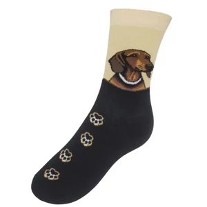 Tacskó arcképes zokni színes mancsokkal, 35-38-ig