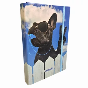 NEBULO Francia bulldog mintás gumis mappa, A/4