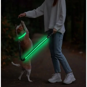 Világító éjszakai LED póráz USB töltéssel, zöld