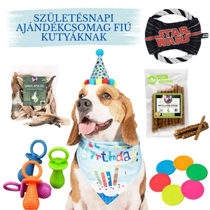 Születésnapi ajándékcsomag FIÚ kutyáknak