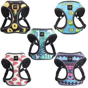 HAPPY BULLDOG komfort kutyahám, több színben és méretben