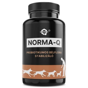 NORMA-Q probiotikumos bélflóra stabilizáló, 50g