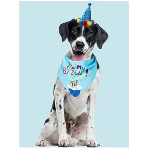 Kutya Születésnapi kendő, fiús (kék)