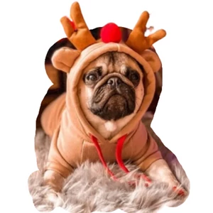 Rénszarvasos karácsonyi pulcsi kisállatoknak, XXL-es