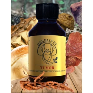 Herbalvet Tumor gyógygomba kivonat daganatos kutyáknak, 100 ml