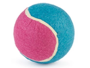 Labdák és frizbik kutyáknak