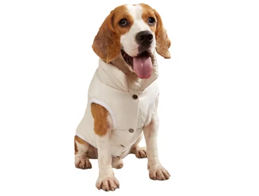 Kabátok, mellények