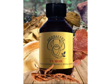 Daganatos kutyáknak