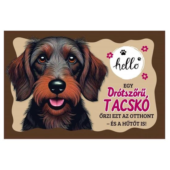 Drótszűrő tacskó mintás lábtörlő – 60 x 40 cm