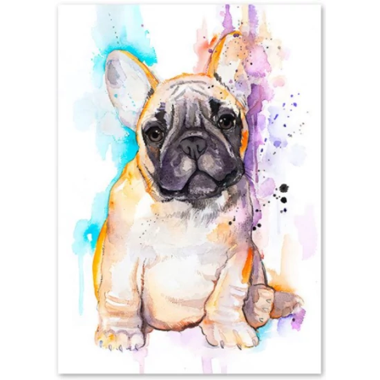 Buci festmény fali kép (20*25 cm)