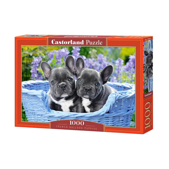 Castorland 1000 db-os puzzle - Francia bulldog kutyusok
