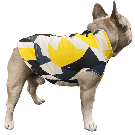 Free Dogs bélelt kutyakabát, sárga, L-es (francia bulldog méret)