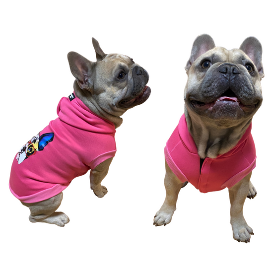 Francia bulldog mintás kapucnis kutyapulcsi, rózsaszín, M-es