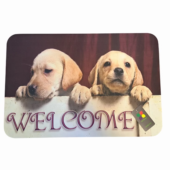 WELCOME Golden retriever gumi lábtörlő, 60 x 40 cm
