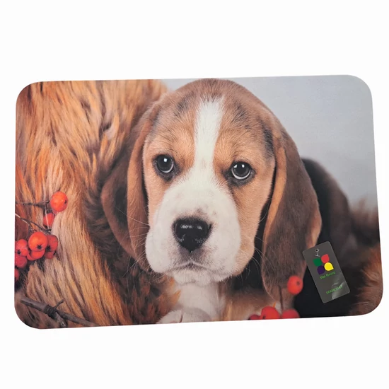 Őszi Beagle gumi lábtörlő, 60 x 40 cm