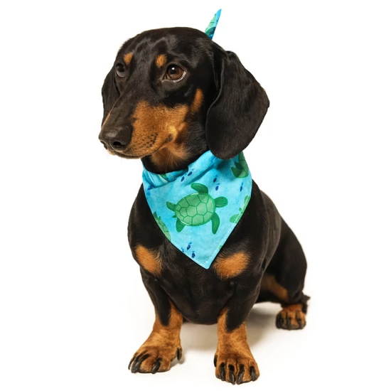 HappyBulldog Felfedező Teknős kutyakendő