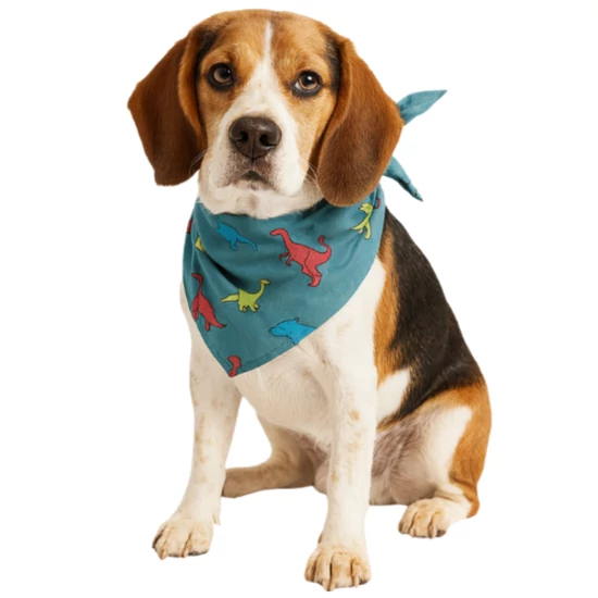 Dinoszaurusz mintás kendő