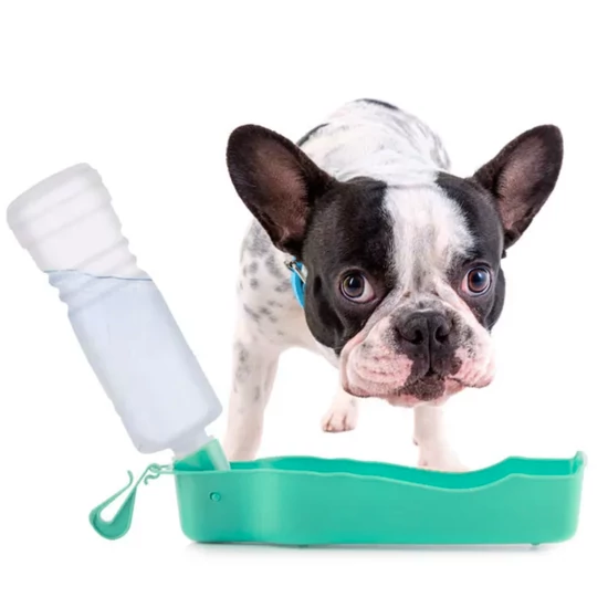 Nunbell hordozható kutya itató, kulacs 300 ml, türkiz