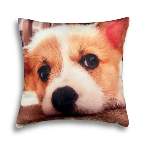 Corgis mintás párna, 45 x 45 cm