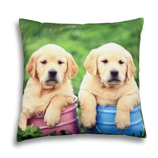 Golden retriver kölykök mintás párna, 45 x 45 cm