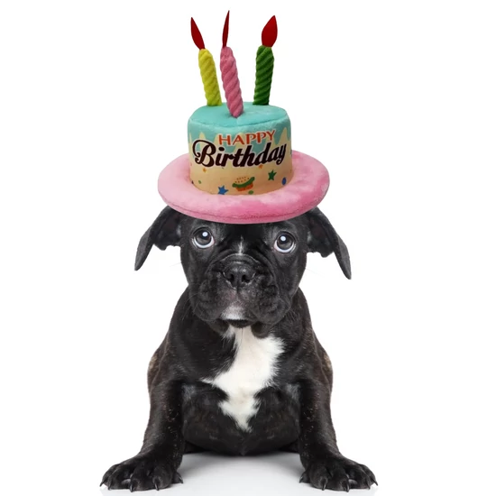 Születésnapi torta alakú kutyasapka, lányos, rózsaszín