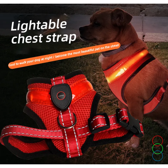 Világító éjszakai LED komfort kutyahám, piros, L