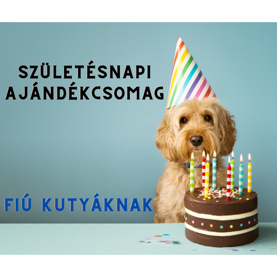 Születésnapi ajándékcsomag FIÚ kutyáknak