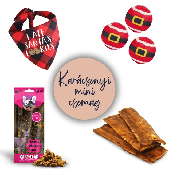 Karácsonyi mini csomag jó kutyáknak
