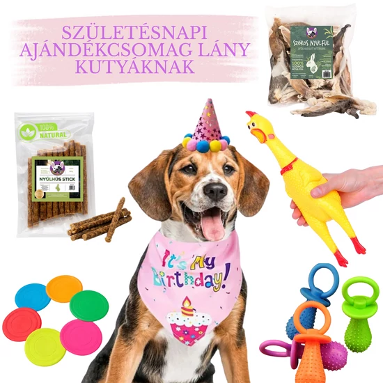 Születésnapi ajándékcsomag LÁNY kutyáknak