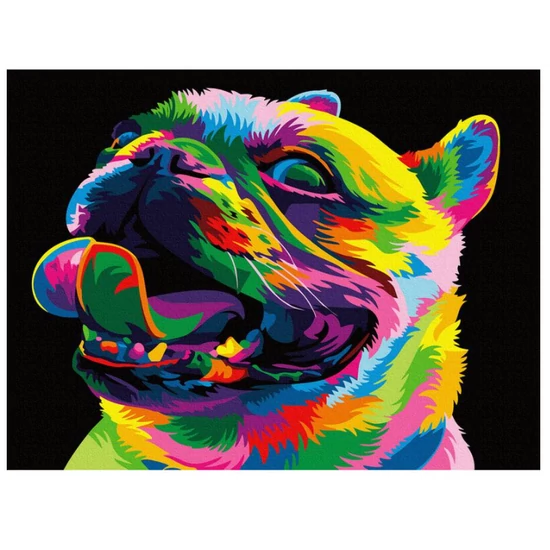 Szivárvány bulldog számfestő készlet