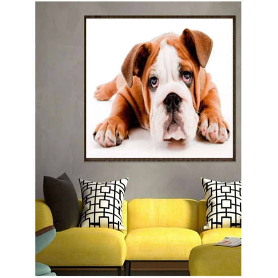 BASIC Gyémántfestő szett, angol bulldog, 40x30 cm, keret nélkül