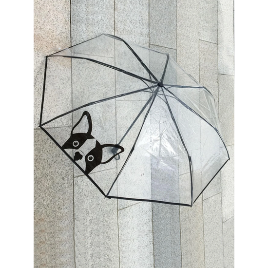 Francia bulldogos átlátszó esernyő