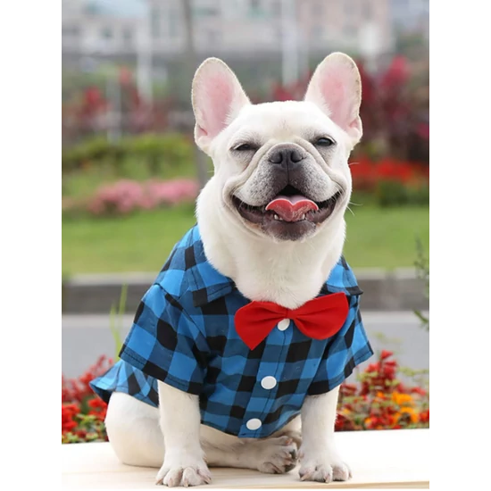 Elegáns kutyaing piros csokornyakkendővel, XXL-es