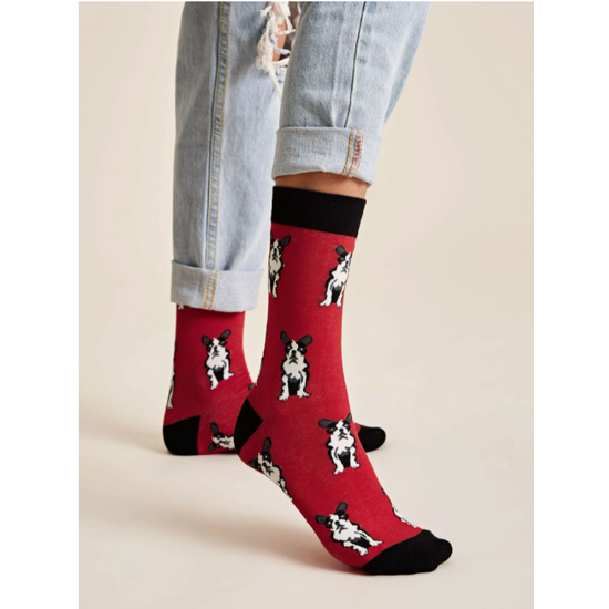 Piros-fekete francia bulldog mintás pamut zokni, 36-41-ig
