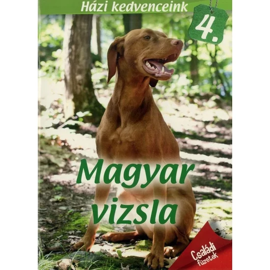 Házi kedvenceink - Magyar vizsla útmutató és gondozási tanácsok könyv