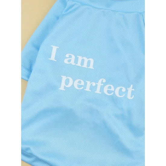 &quot;I am perfect&quot; poliészter kutyaruha, kék, XL-es