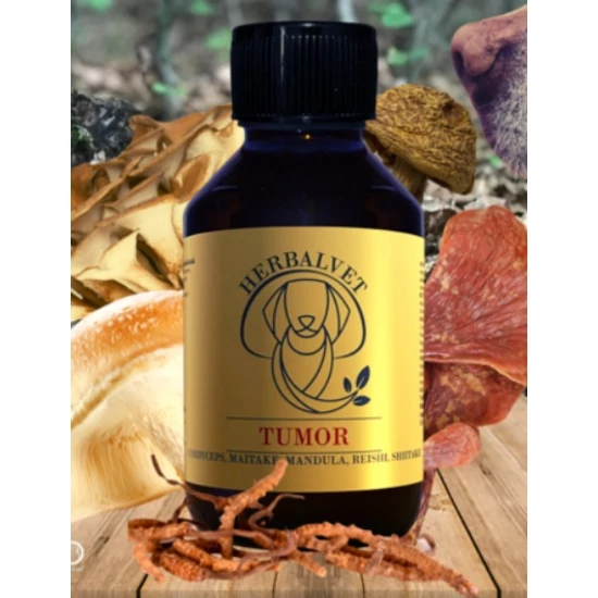 Herbalvet Tumor gyógygomba kivonat daganatos kutyáknak, 100 ml