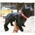 3D Francia bulldog papírszobor készítő készlet, fekete