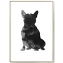 Kép 1/2 - Modern fekete-fehér francia bulldog kép - 20x30 cm, ülő