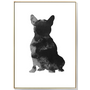 Kép 1/2 - Modern fekete-fehér francia bulldog kép - 20x30 cm, ülő