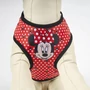 Kép 7/10 - Disney MINNIE MOUSE Kutyahám, S/M