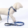Kép 4/7 - STITCH póráz, S