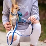 Kép 5/7 - STITCH póráz, S
