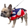 Kép 2/6 - Free Dogs bélelt kutyakabát, piros, XL-es (francia bulldog méret)