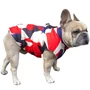 Kép 5/6 - Free Dogs bélelt kutyakabát, piros, 3XL-es (angol bulldog méret)