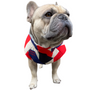 Kép 6/6 - Free Dogs bélelt kutyakabát, piros, XL-es (francia bulldog méret)