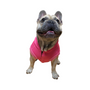 Kép 4/4 - Francia bulldog mintás kapucnis kutyapulcsi, rózsaszín, M-es