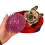 Kép 3/3 - Kiharaphatatlan fogtisztító labda kutyáknak, 12 cm, lila