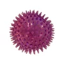Kép 1/3 - Kiharaphatatlan fogtisztító labda kutyáknak, 12 cm, lila